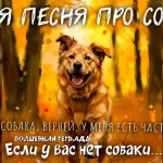 На изображении рыжая собака бежит по осеннему лесу. Текст: Песня про собаку. Волшебная тетрадь